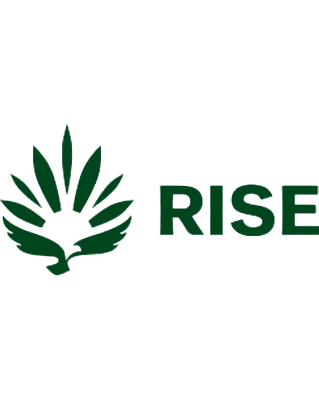 Rise